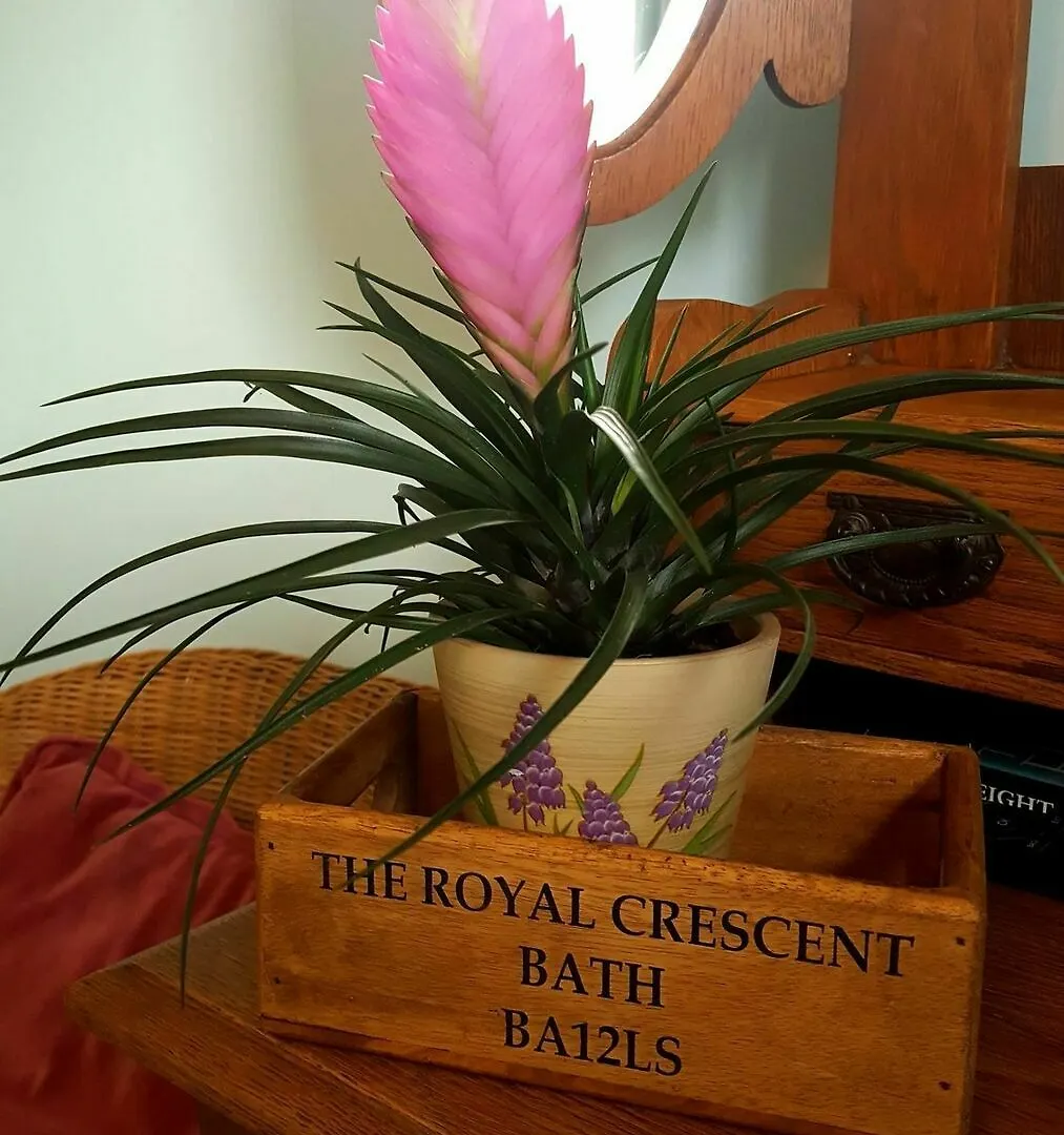 White Guest House Bath 3*,